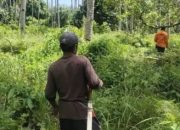 Misteri Kematian Nenek Wa Samria, Saksi Mengungkap Dugaan Penyembunyian Jenazah