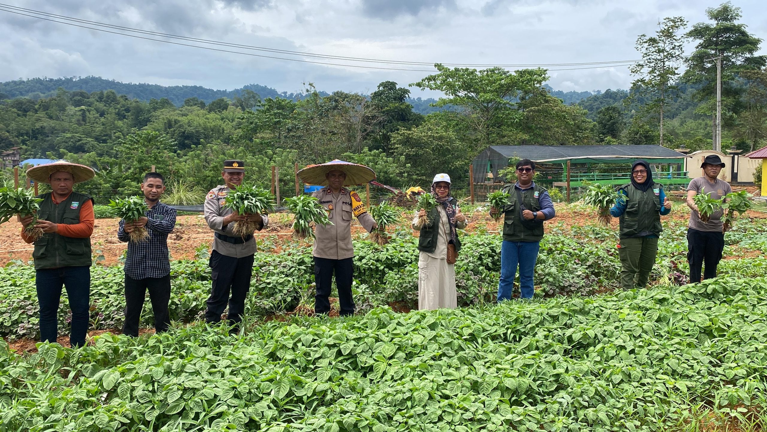 Polres Konawe Utara Panen Sayur