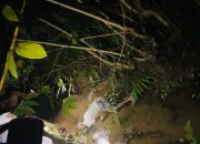 Kaus Putih dan Celana Pendek, Identitas Mayat di Poasia Masih Misterius