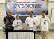 Anton Timbang: Kadin Sultra Siap Naikkan Kelas UMKM Lewat Kemitraan Strategis dengan Bulog