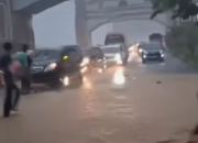 Dinas Sosial Sultra Pastikan Logistik Tersalurkan ke Wilayah Terdampak Banjir