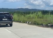 Jalan Kembar Kali Kadia, Gagah di Rencana, Layu di Realita