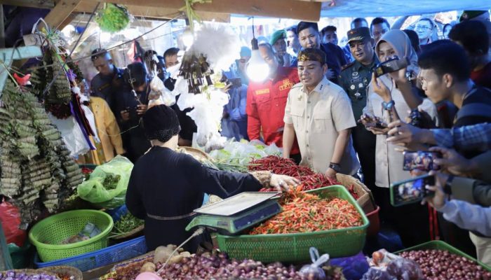 Pemerintah Sultra Pastikan Stok Pangan Aman, Harga Tetap Dijaga