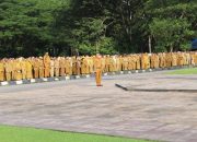 PNS Merapat! Suku Bunga Spesial Kredit Multiguna Bank Sultra Hadir untuk Anda!
