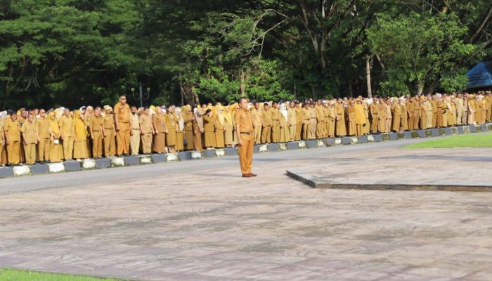 PNS Merapat! Suku Bunga Spesial Kredit Multiguna Bank Sultra Hadir untuk Anda!