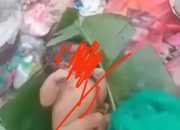 Tangis Bayi di Tumpukan Sampah Kolaka, Warga Temukan dalam Kondisi Hidup