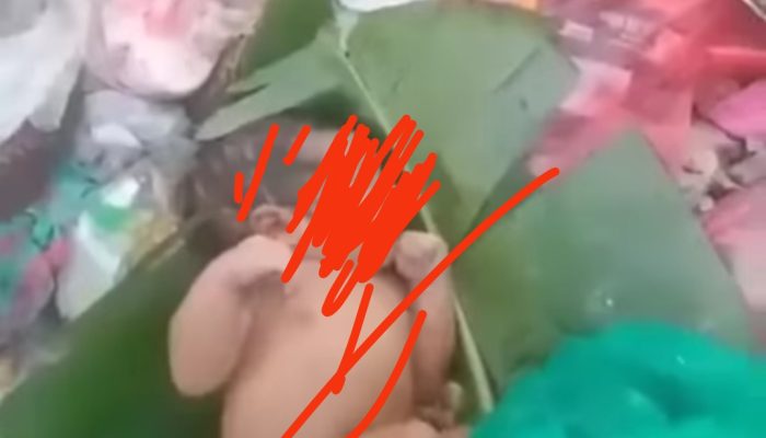 Tangis Bayi di Tumpukan Sampah Kolaka, Warga Temukan dalam Kondisi Hidup