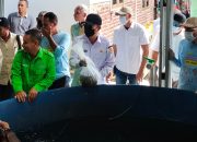 Ketika Sampah Bernilai Rupiah, Budidaya Maggot Aswan Dapat Apresiasi Gubernur Sultra