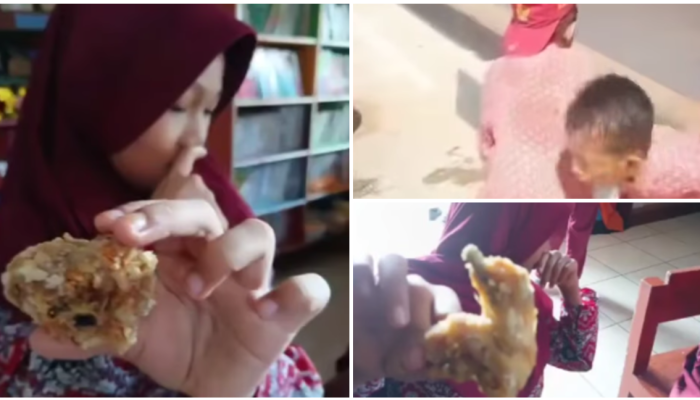 Diduga Keracunan Makanan Bergizi Gratis, Puluhan Siswa SD di Bombana Muntah