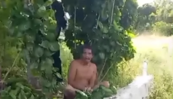 VIRAL! Pria NTT Menggeliat Tak Terkendali, Diduga Rabies Usai Santap “Daging Anjing”