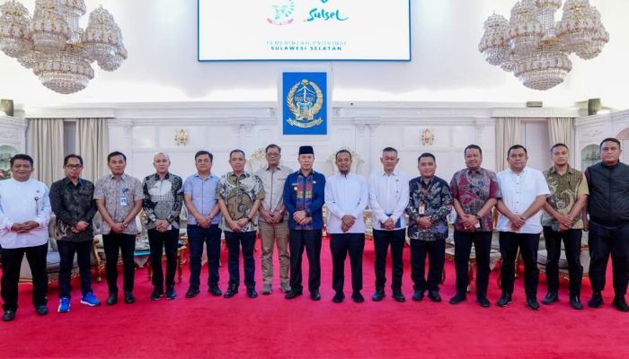Gubernur Sulsel Ungkap Potensi Besar Jalur Penerbangan Langsung Bone-Kendari