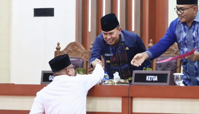 Pembahasan RPJMD Sultra 2025-2029 Berjalan Akrab, Tahap Konsultasi Mendagri Menanti