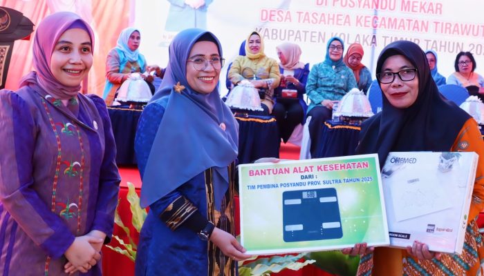 Arinta Andi Sumanggerukka, Motor Penggerak Transformasi Posyandu di Sultra