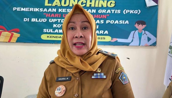 Kontroversi Dinkes Kendari: Penolakan Pasien Darurat, Berdalih Korban Tak Sabar