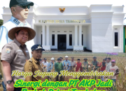 Harga Jagung Menggembirakan, Sinergi dengan PT AKP Jadi Berkah Petani di Desa Tambakua