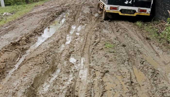 HIPPMAKABAR Desak Perbaikan Jalan Rusak Parah di Kabaena Barat, Warga Bertahan di Kubangan Lumpur