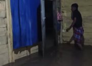 Ribuan Jiwa Terdampak Banjir di Buton, BNPB Ingatkan Waspada Cuaca Ekstrem