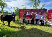Telkomsel Salurkan Ratusan Hewan Kurban, Jangkau Puluhan Ribu Keluarga di Momen Iduladha 1446