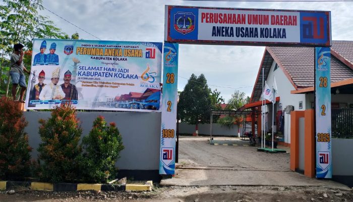 PD ANEKA USAHA KOLAKA DITERIAKI, Dituding Jadi “Mafia Dokumen” Tambang Nikel Ilegal!