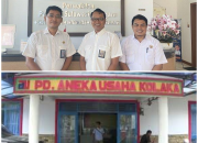 Audit BPK Bongkar Modus Perumda Kolaka, Dana KSO Rp11,9 Miliar Masuk Kantong Pribadi