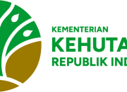 KLHK Menangkan Banding, Dua Perusahaan Tambang Nikel Divonis Bayar Ganti Rugi Rp 47 Miliar