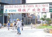 VDNI, GNI, dan ITSS Hadapi Krisis, Produksi Smelter Nikel Melambat
