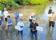 Irmawati, Srikandi DPRD Kendari di Garis Depan Penyelamatan Mangrove