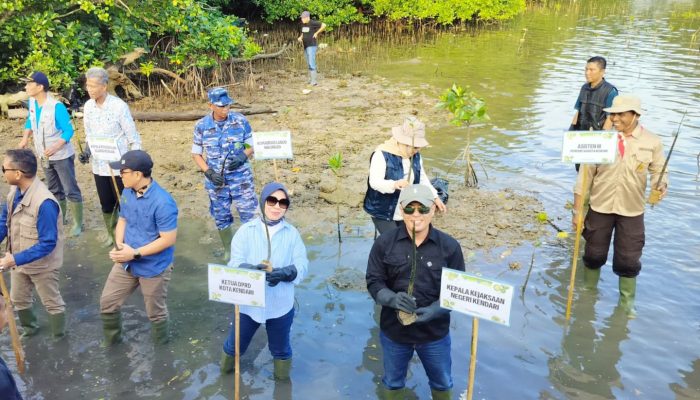 Irmawati, Srikandi DPRD Kendari di Garis Depan Penyelamatan Mangrove