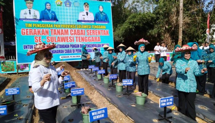 Kendari Jadi Pusat Gerakan Tanam Cabai Serentak Sultra, Wali Kota Siska: Strategi Tekan Inflasi