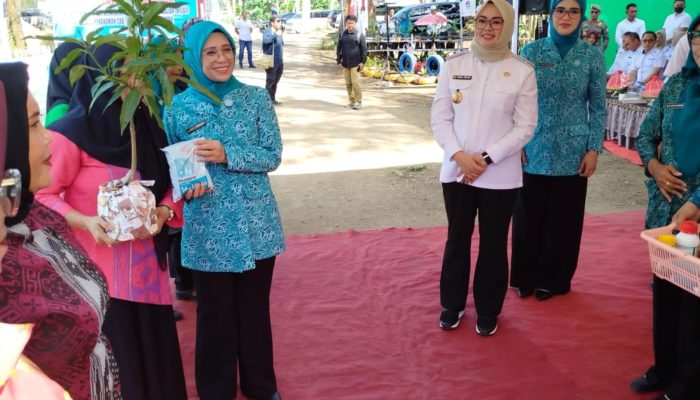 Arinta Andi Sumangerukka Pimpin Gerakan Tanam Cabai Serentak Sultra, Kendalikan Inflasi Pangan