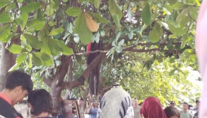 Dosen UNM Asal Muna Ditemukan Tewas Tergantung di Depan Poltekkes Makassar