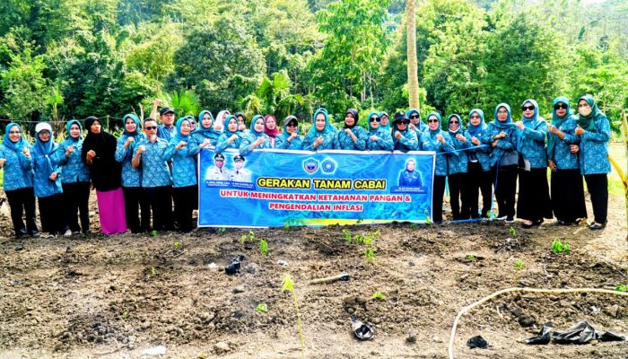 Ny. Hj. Sitti Norma Adios Ajak Kader, PKK Buton Selatan Jadi Garda Terdepan Ketahanan Pangan
