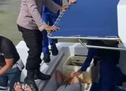 Terjun dari Jembatan Teluk Kendari, Pria Depresi Berhasil Diselamatkan Nelayan dan Polisi