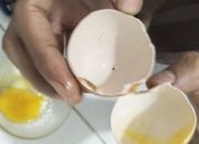 Warga Kolaka Utara Temukan Telur Diduga Palsu, Berasa Karet dan Ada Bekas Suntikan