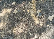 Kejari Buton Usut Proyek Aspal Jalan Rp 3 Miliar yang Diduga Dikerja Asal-asalan