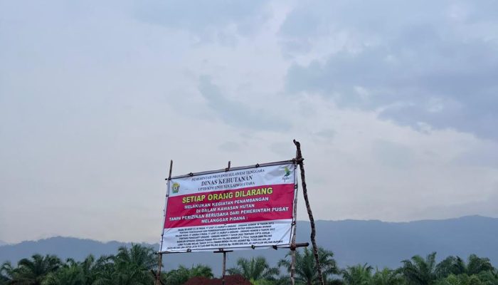 Diduga Melanggar IPPKH, PT. Wisnu Mandiri Batara Didesak untuk Bertanggung Jawab Atas Kerusakan Hutan di Konut
