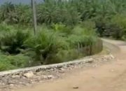 Proyek Jembatan Lamonae Rp5 Miliar Disorot, Warga Wiwirano Desak APH Turun Tangan