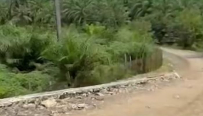 Proyek Jembatan Lamonae Rp5 Miliar Disorot, Warga Wiwirano Desak APH Turun Tangan