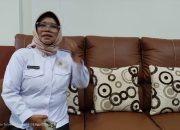 Pemprov Sultra Siapkan JKS, Tanggung Biaya Pasien Tak Punya Jaminan Kesehatan
