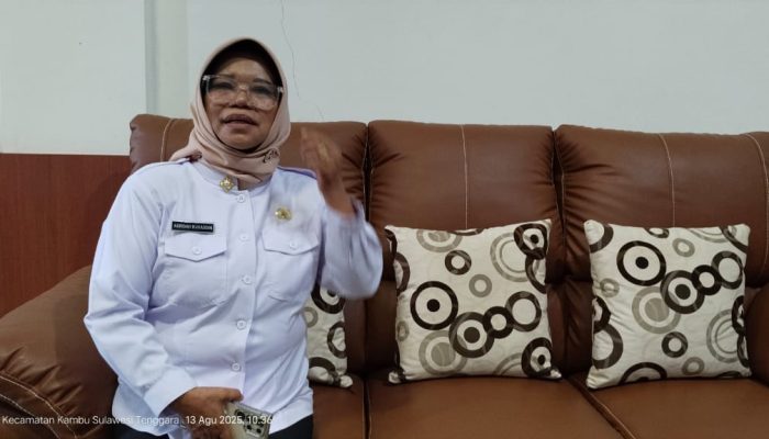 Pemprov Sultra Siapkan JKS, Tanggung Biaya Pasien Tak Punya Jaminan Kesehatan