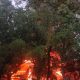 Demo Memanas di Bandung, Massa Bakar Motor dan Rumah Aset MPR di Dekat Gedung DPRD Jabar