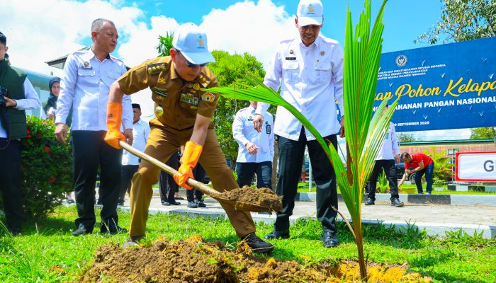 Gubernur Andi Sumangerukka Tanam Pohon Kelapa, Dukung Ketahanan Pangan Nasional dari Kendari