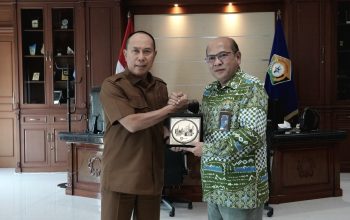 , Pemerintah Provinsi Sulawesi Tenggara