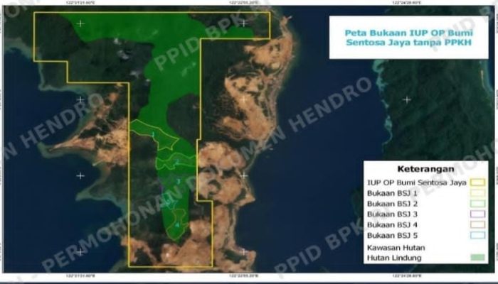 Tambang Nikel PT BSJ di Konawe Utara Terancam, Diduga Rambah Hutan Lindung Puluhan Hektare