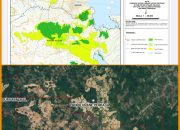 Klarifikasi Pejabat Dinas Kehutanan, Area IUP PT Pandu Urane Perkasa Jauh dari Kawasan Hutan
