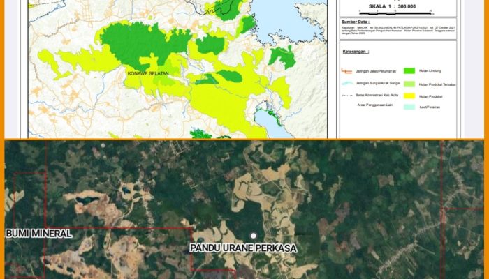 Klarifikasi Pejabat Dinas Kehutanan, Area IUP PT Pandu Urane Perkasa Jauh dari Kawasan Hutan
