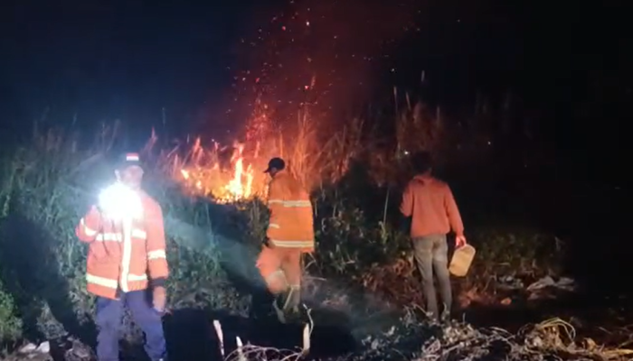 Damkar Kendari Berhasil Padamkan Kebakaran Lahan di Samping Hotel Adipati