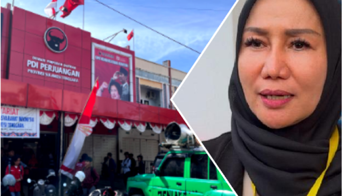 PDIP Sultra Janji Tindak Tegas Kasus Pelanggaran Kader Suleha Sanusi