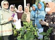 Ibu Gubernur Subsidi Sembako di Kolaka Utara, Beras-Telur Hanya Rp25 Ribu