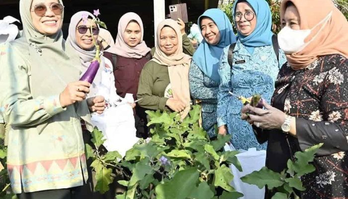 Ibu Gubernur Subsidi Sembako di Kolaka Utara, Beras-Telur Hanya Rp25 Ribu